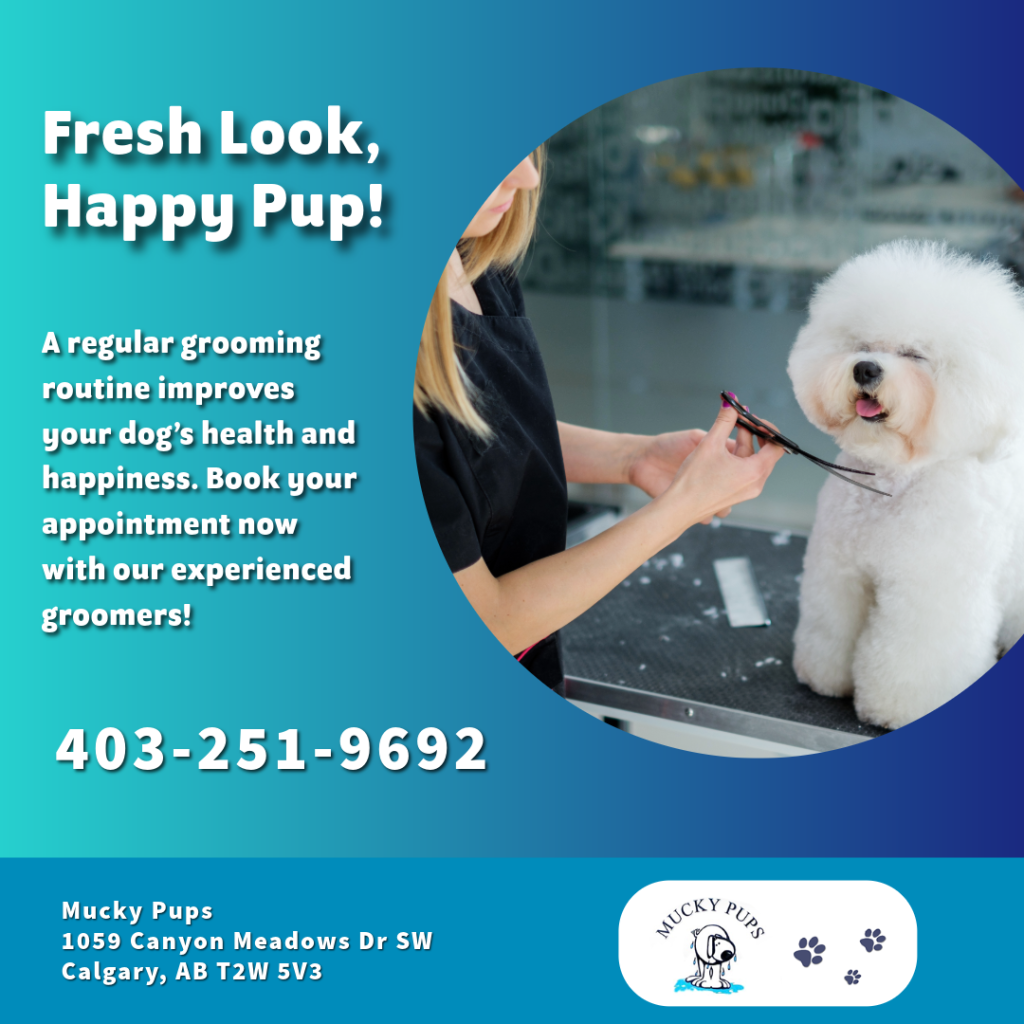 Discover how to make dog grooming stress-free with expert insights from Calgary’s trusted grooming salon, Mucky Pups.