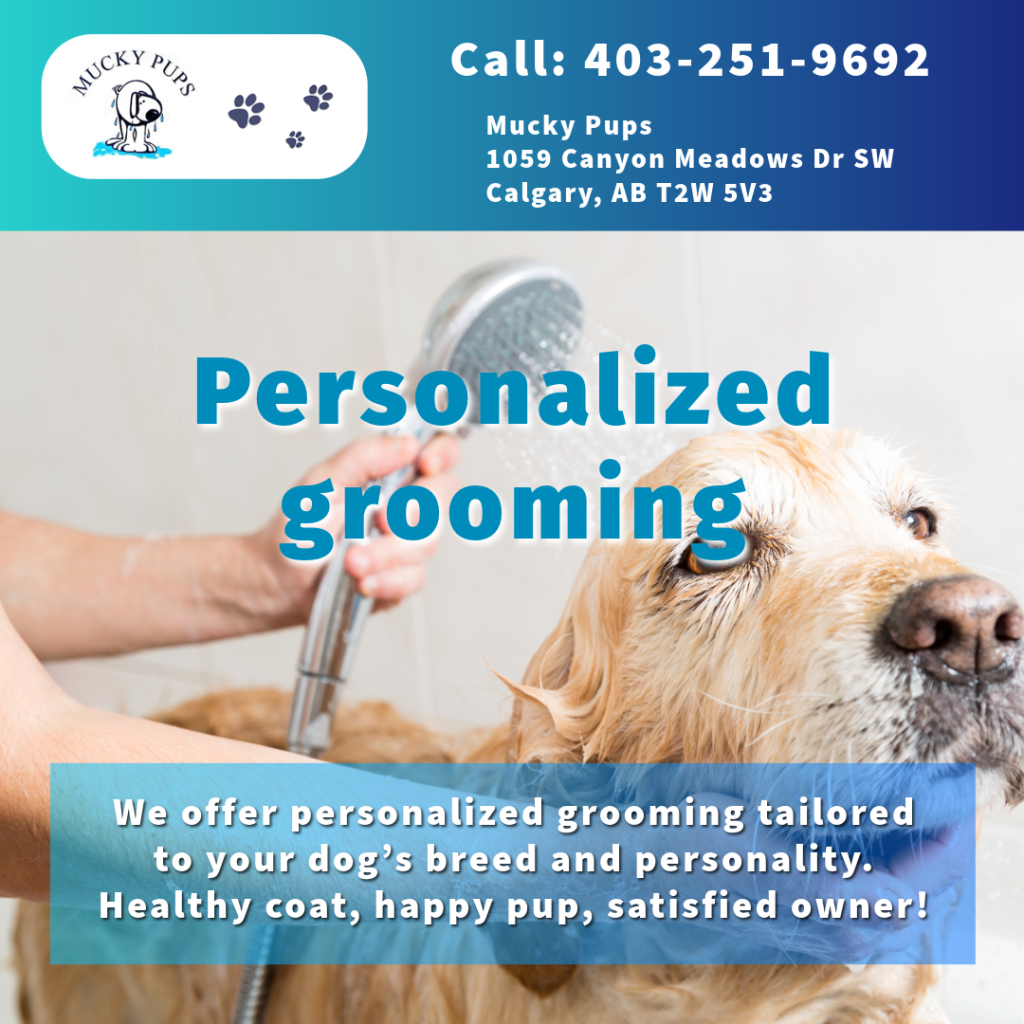 Discover essential dog grooming tips before winter in Calgary to keep your pup healthy and comfortable.