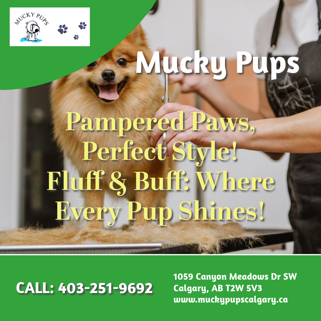 Keep Your Pup Looking Great: Dog Grooming Tips